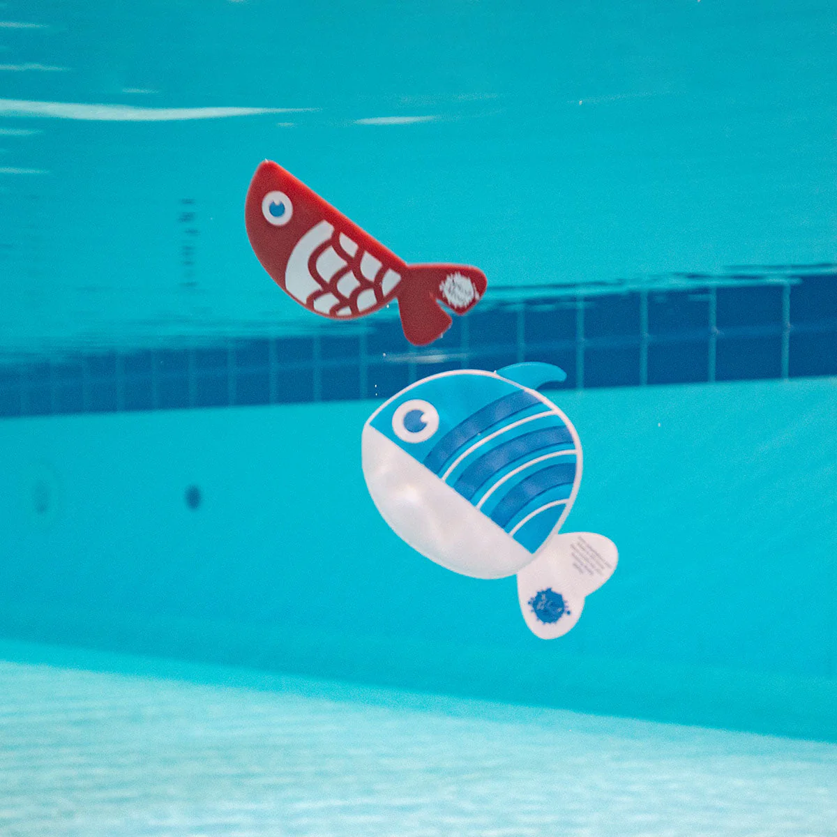 Bobbin' Buddies Sensory Fish Toys (Pack of 2) - Image 2